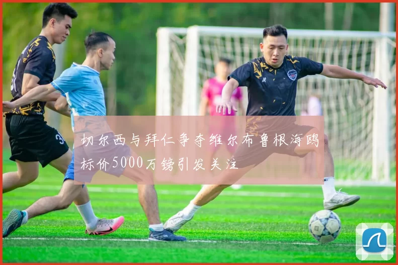 切尔西与拜仁争夺维尔布鲁根海鸥标价5000万镑引发关注